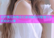 农村黄瓜种植全纪录详解田间管理与丰收秘诀分享