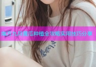 南方九月黄瓜种植全攻略实用技巧分享