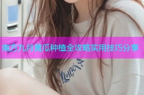 南方九月黄瓜种植全攻略实用技巧分享