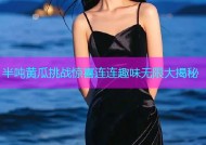 半吨黄瓜挑战惊喜连连趣味无限大揭秘