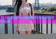 别人种黄瓜的全过程揭秘与实用种植技巧分享