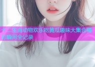 十二生肖动物欢乐吃黄瓜趣味大集合精彩瞬间全记录
