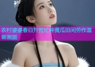 农村婆婆春日开荒忙种黄瓜田间劳作温馨画面