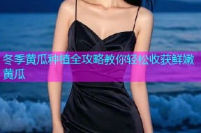 冬季黄瓜种植全攻略教你轻松收获鲜嫩黄瓜