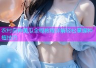农村自种黄瓜全程教程详解轻松掌握种植技巧