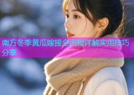 南方冬季黄瓜嫁接全流程详解实用技巧分享