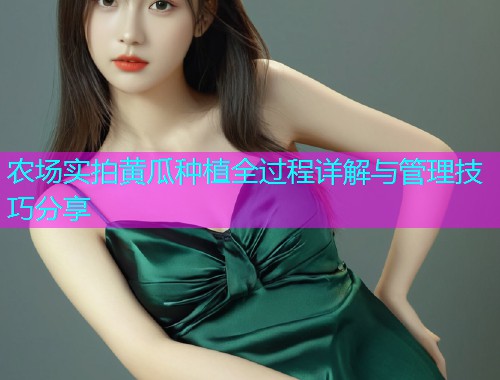 农场实拍黄瓜种植全过程详解与管理技巧分享  第1张