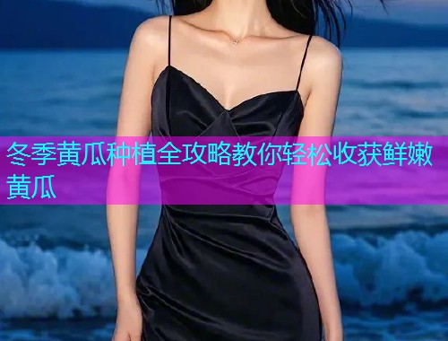 冬季黄瓜种植全攻略教你轻松收获鲜嫩黄瓜  第1张