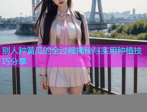 别人种黄瓜的全过程揭秘与实用种植技巧分享  第1张