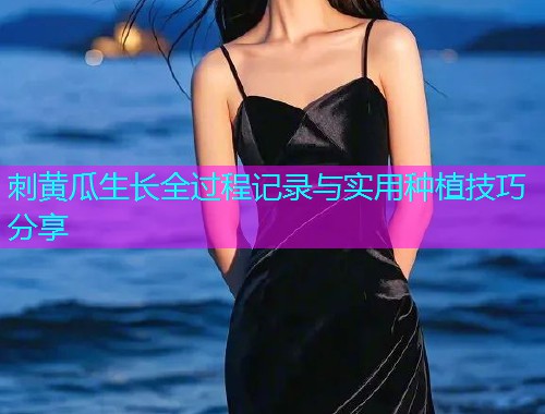 刺黄瓜生长全过程记录与实用种植技巧分享  第1张