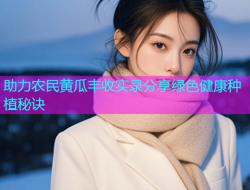 助力农民黄瓜丰收实录分享绿色健康种植秘诀  第2张