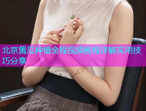 北京黄瓜种植全程视频教程详解实用技巧分享  第1张
