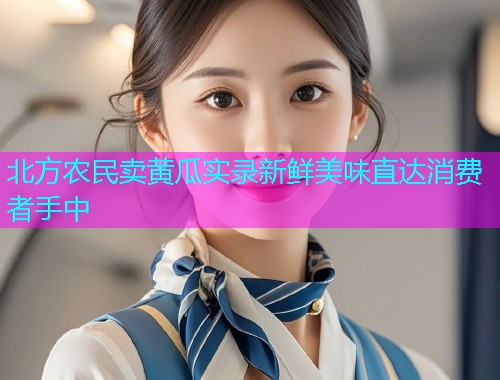 北方农民卖黄瓜实录新鲜美味直达消费者手中  第1张