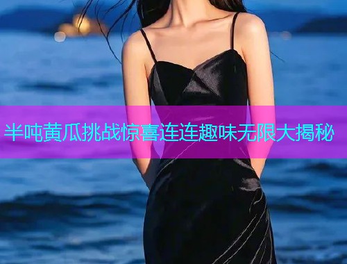 半吨黄瓜挑战惊喜连连趣味无限大揭秘  第1张