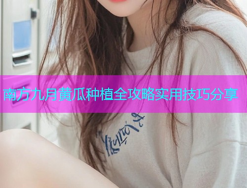 南方九月黄瓜种植全攻略实用技巧分享  第1张