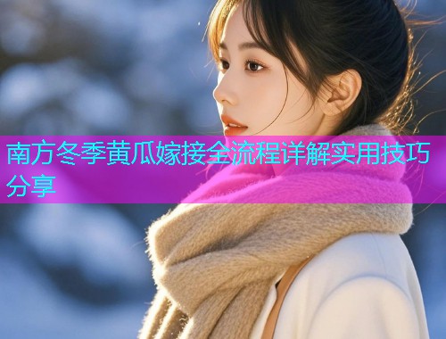 南方冬季黄瓜嫁接全流程详解实用技巧分享  第1张